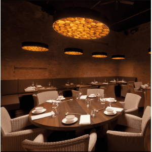 Round LED Lighting Fixture Wood LED Pendant Chandelier Light Custom engineering light