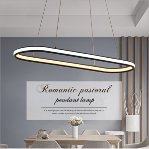 Modern New design acrylic circular Pendant Lamp artistical Led Aluminum Chandelier ring light Decorative lamp