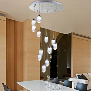 Energy saving light source egg shape acrylic  Metal Lighting LED Pendant Lamp