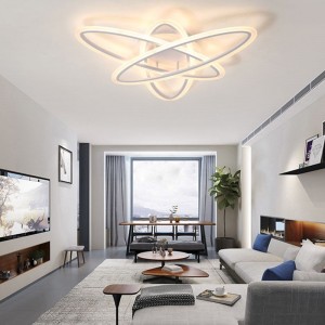 LED oval shade acrylic  hanging lights decorative pendant lamp for living room