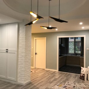 Modern simple and elegant unusual chandelier outside black and inside golden creative decorative Chandelier