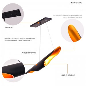 Modern simple and elegant unusual chandelier outside black and inside golden creative decorative Chandelier