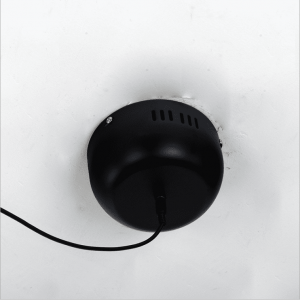 INS Lighting New Model Indoor Chandelier Fancy Stainless steel Pendant Light with Glass Ball