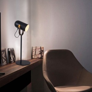 Hot sale new design indoor desk lighting metal  LED table lamp for living room