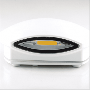 Modern Design Decorative 6W IP54 Waterproof COB LED Outdoor Wall Light