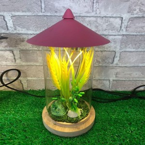 Outdoor lawn garden plants and animals glass landscape lights