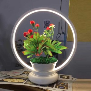 Outdoor lawn garden plants and animals glass landscape lights