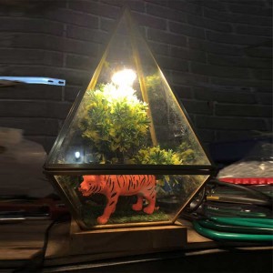 Outdoor lawn garden plants and animals glass landscape lights