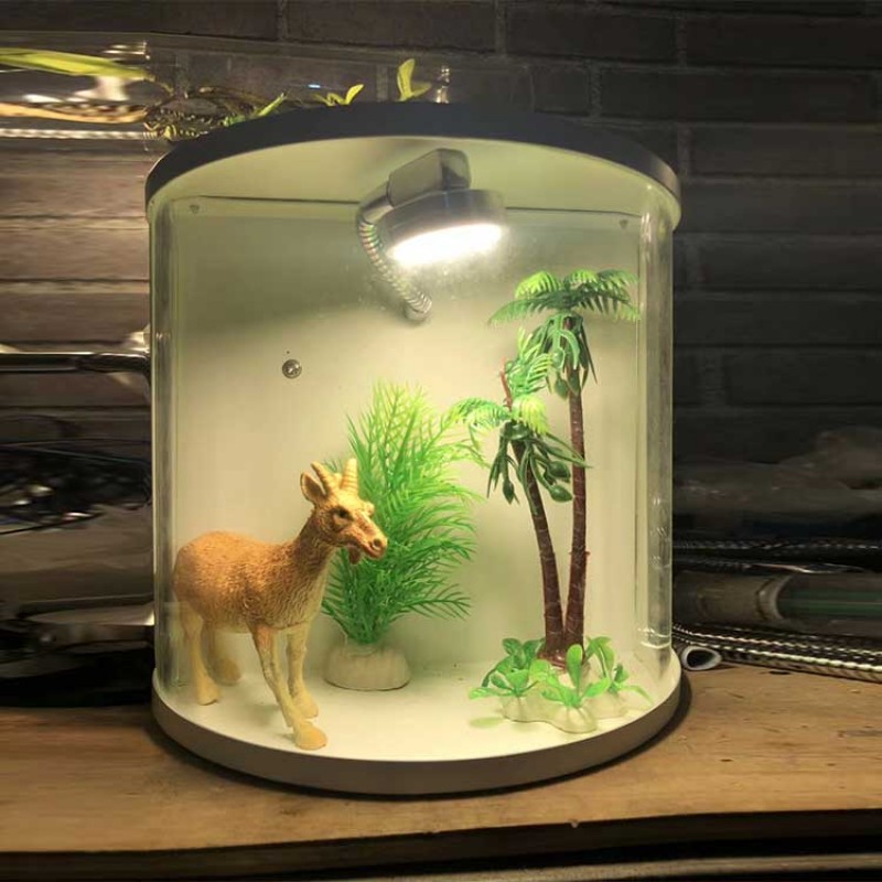 Outdoor lawn garden plants and animals glass landscape lights