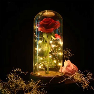 Outdoor lawn garden plants and animals glass landscape lights