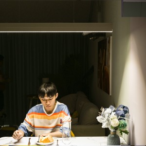 Alienbull LED Linear Light, 45W Kitchen Island Hanging Light Fixture, Modern Pendant Lamp Chandelier Spotlight Long Strip Light for Office Dining Room