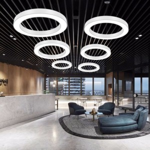 Individual Postmodern Lightweight Luxury Metal Stainless Steel Ring Acrylic Circle Living Room Lighting Mall Front Office Ring Chandelier
